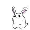 SuShU RaBbIt 8