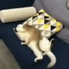 Gatitos2 Mov 13