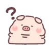 Cute little pig 13