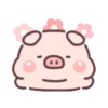 Cute little pig 15