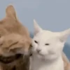 Gatitos2 Mov 15