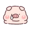 Cute little pig 16