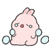 ️ Conejo bonito   MOV 8