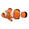 Animales Marinos✇1 Movi 12