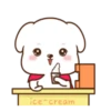 chami dog 7 17