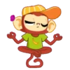 Monkey 12