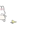 ️dressed rabbit   MOV 14