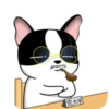 Lovely rich dog 11