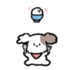 ️Mini perrito orejón   MOV 13