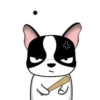 Lovely rich dog 12