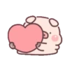 Cute little pig 18