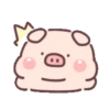 Cute little pig 19