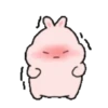 ️ Conejo bonito   MOV 13