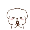 chami dog 7 19