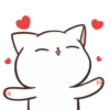 Mr. Cat  PopUp 20