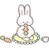 ️dressed rabbit   MOV 18