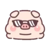 Cute little pig 21