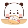 Panda 16 19