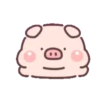 Cute little pig 22