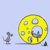 Ratas Ratitas Ratosas 23