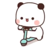 Panda 16 21