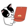 Lovely rich dog 13