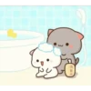 Mochi peach cat 24
