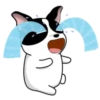 Lovely rich dog 14