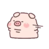 Cute little pig 24