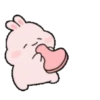 ️ Conejo bonito   MOV 16