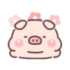 Cute little pig 25
