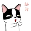 Lovely rich dog 15