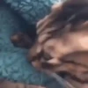 Gatitos2 Mov 28