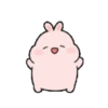 ️ Conejo bonito   MOV 17