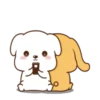 chami dog 7 22