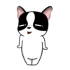 Lovely rich dog 16
