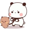 Panda 16 27