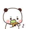 Panda 16 29