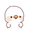Lovely ducks 5