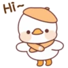 Lovely ducks 6