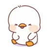 Lovely ducks 7