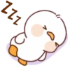 Lovely ducks 8