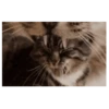 ꧁ mix M O V 84 ꧂ 6