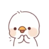 Lovely ducks 10