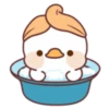 Lovely ducks 11