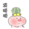帥氣小豬豬的日常 5