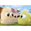 💫Angry Birds baby 2❣️ 6