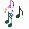 MUSICA 5