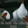 Pingüinos❦1 Movi 8
