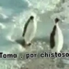 Pingüinos❦1 Movi 9